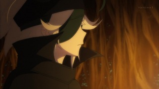 cap (33)