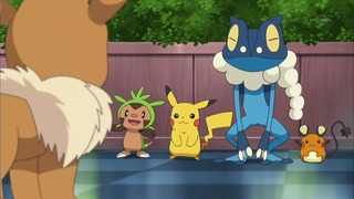 xy (86)