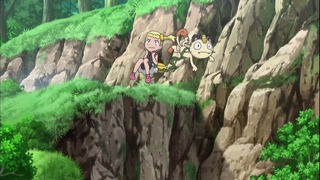 xy (99)