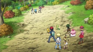 xy (84)