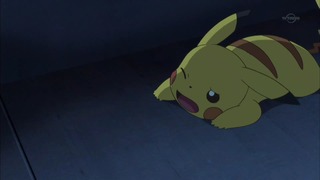 xy (73)
