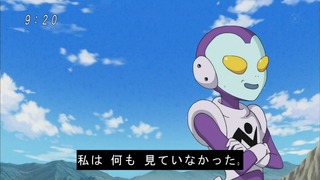 cap (64)