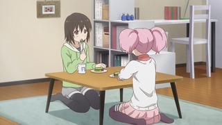 yy-239