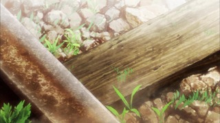 cap (18)