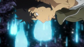 cap (239)