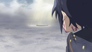 cap (14)