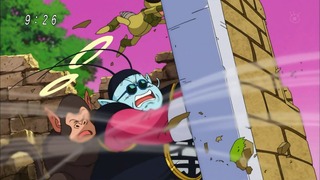 cap (243)