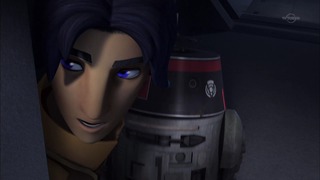 sw (40)