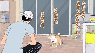 muco (51)