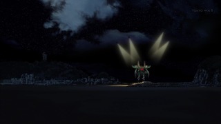 cap (19)