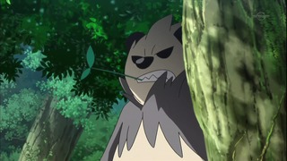 xy (59)