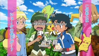 xy (5)