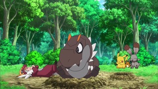xy (60)
