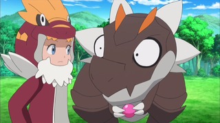 xy (53)