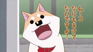 muco (26)