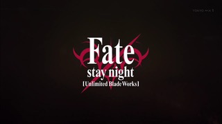 fate (11)