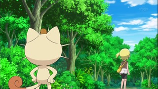 xy (126)