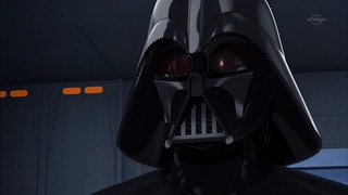 sw (19)