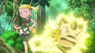 xy (74)