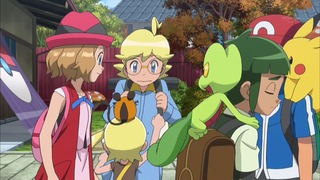 xy (54)