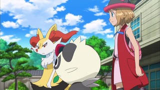 xy (119)