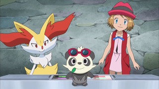 xy (99)