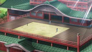 xy (37)