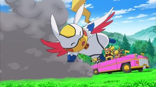 xy (313)