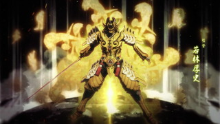 cap (13)