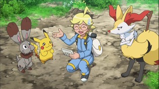 xy (51)