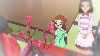 coco-134
