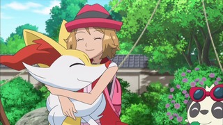 xy (157)