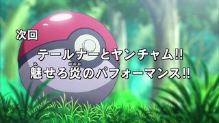xy (195)