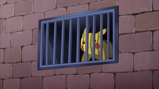 xy (77)