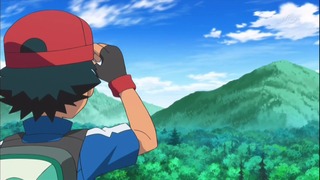 xy (85)