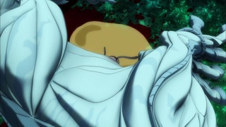 cap (264)