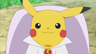 xy (367)