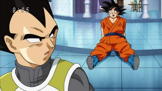 cap (7)