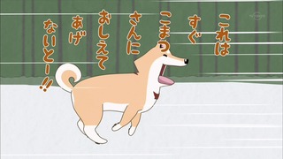 muco (50)