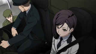 cap (13)