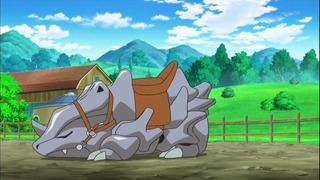 xy53 (109)