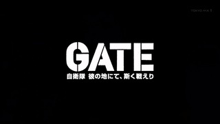 gate (61)