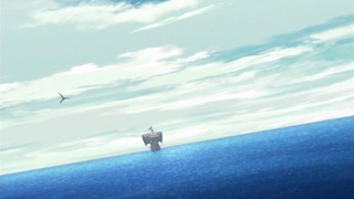 cap (13)