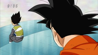 cap (13)