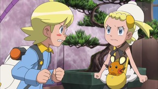 xy (23)