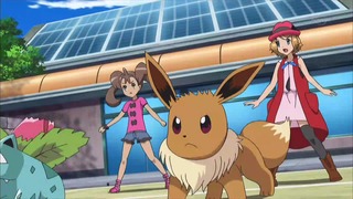 xy (145)