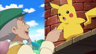 xy (187)