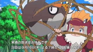 xy (186)