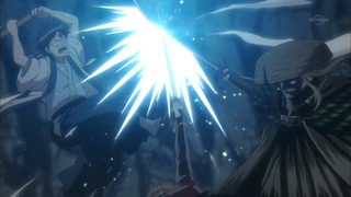 cap (228)