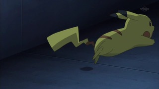 xy (76)